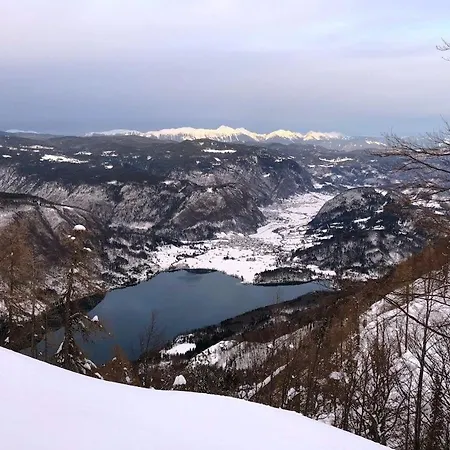 Mostnica Holiday home Bohinj